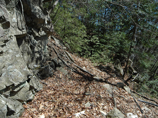 ����X�ѓS�����͐�,�ѓS,�p����,�㕔�O��,����