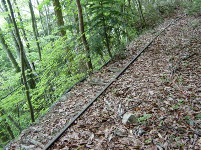 ����X�ѓS�����͐�,�ѓS,�p����,�㕔�O��,����