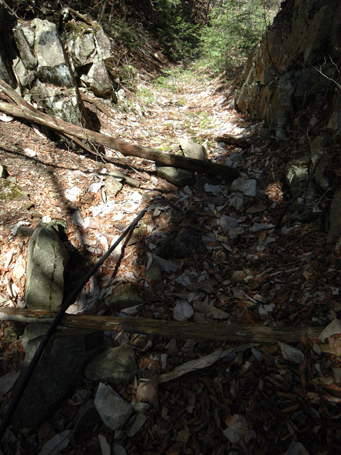 ����X�ѓS�����͐�,�ѓS,�p����,�㕔�O��,����