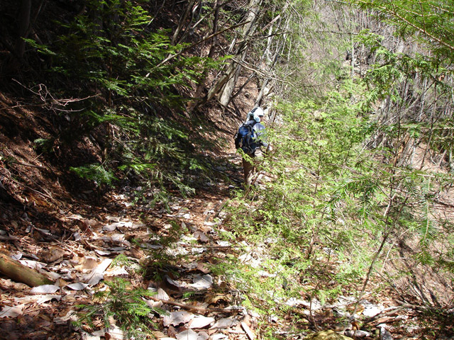 ����X�ѓS�����͐�,�ѓS,�p����,�㕔�O����