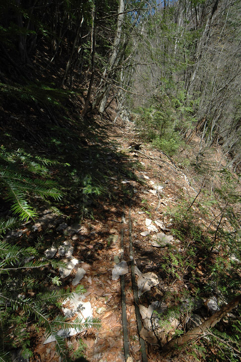 ����X�ѓS�����͐�,�ѓS,�p����,�㕔�O����