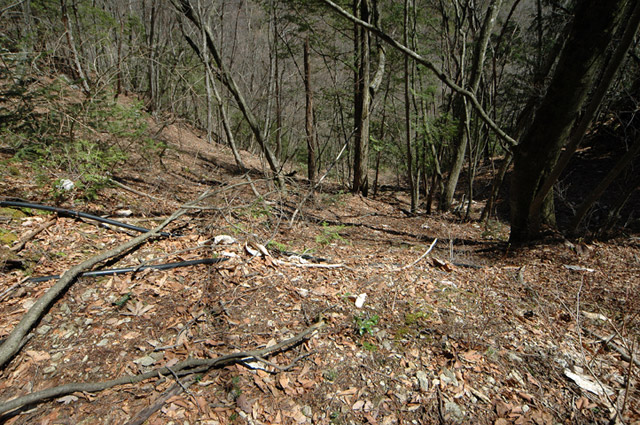 ����X�ѓS�����͐�,�ѓS,�p����,�㕔�O����