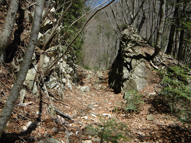 ����X�ѓS�����͐�,�ѓS,�p����,�㕔�O����