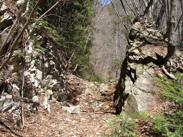 ����X�ѓS�����͐�,�ѓS,�p����,�㕔�O����