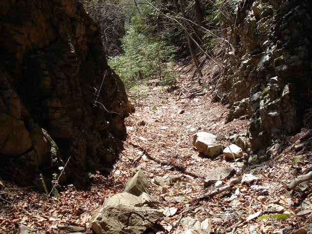 ����X�ѓS�����͐�,�ѓS,�p����,�㕔�O����