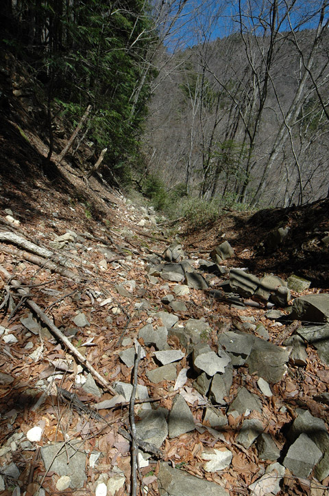 ���͗ѓS,�X�ѓS��,�p����,�㕔�O����,����c�я�