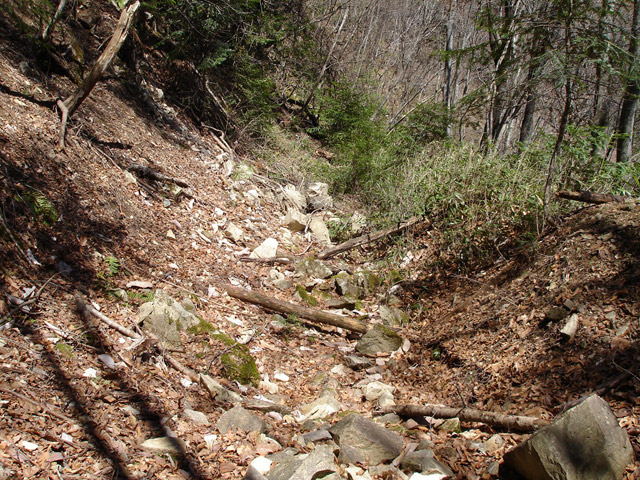 ���͗ѓS,�X�ѓS��,�p����,�㕔�O����,����c�я�