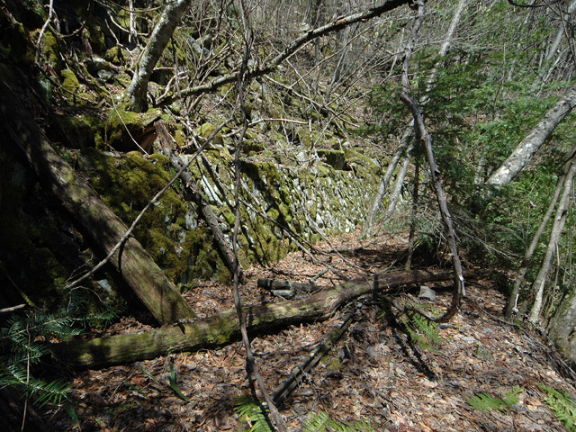 ���͗ѓS,�X�ѓS��,�p����,�㕔�O����,����c�я�