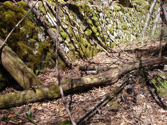 ���͗ѓS,�X�ѓS��,�p����,�㕔�O����,����c�я�