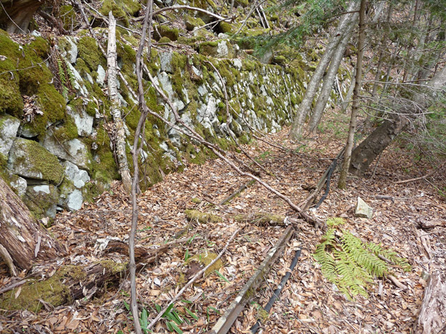 ���͗ѓS,�X�ѓS��,�p����,�㕔�O����,����c�я�