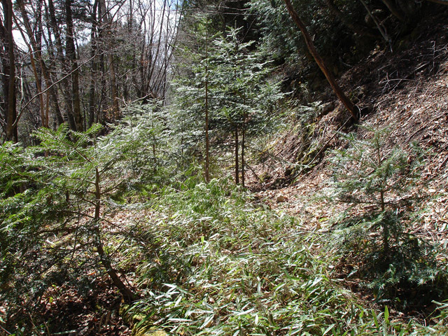 ���͗ѓS,�X�ѓS��,�p����,�㕔�O����,����c�я�