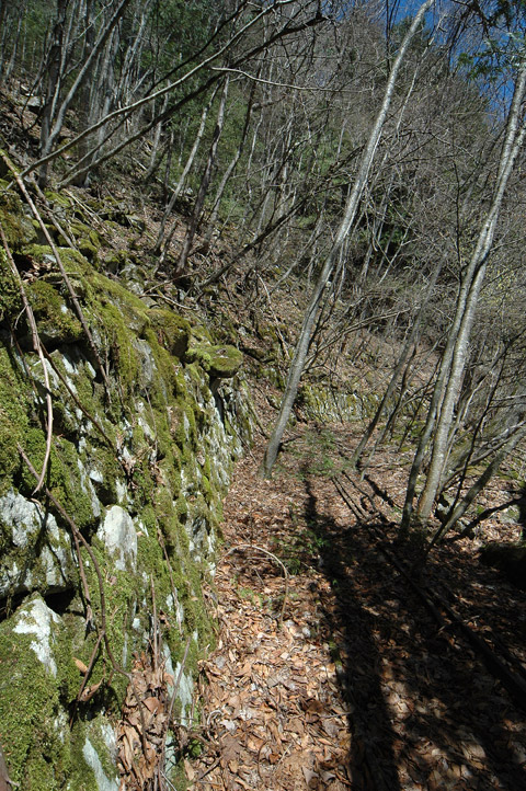 �ѓS,���͐X�ѓS��,�p����,�㕔�O��,����c�я�,���É��c�ы�