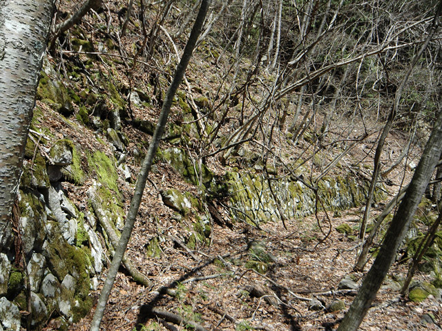 �ѓS,���͐X�ѓS��,�p����,�㕔�O��,����c�я�,���É��c�ы�