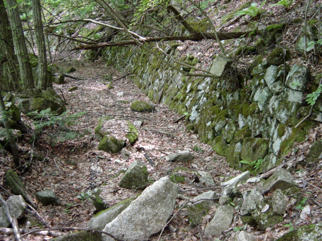 �ѓS,���͐X�ѓS��,�p����,�㕔�O��,����c�я�,���É��c�ы�