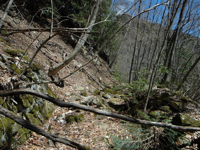 �ѓS,���͐X�ѓS��,�p����,�㕔�O��,����c�я�,���É��c�ы�