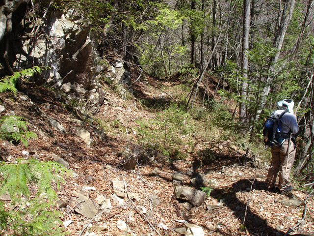 �ѓS,���͐X�ѓS��,�p����,�㕔�O��,����c�я�,���É��c�ы�