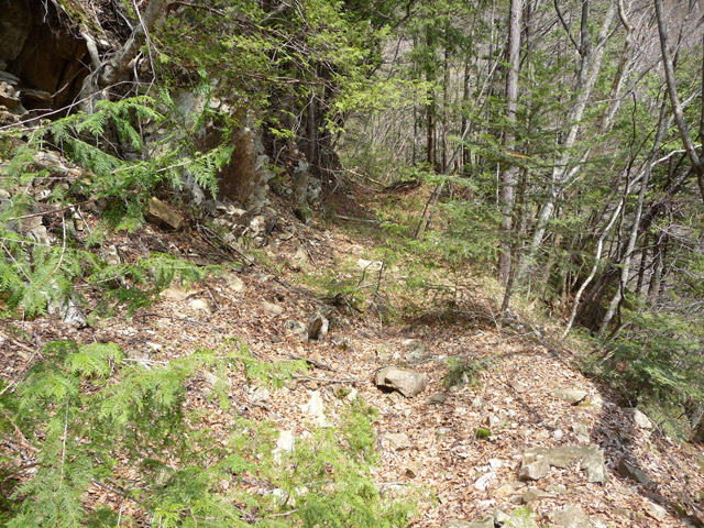 �ѓS,���͐X�ѓS��,�p����,�㕔�O��,����c�я�,���É��c�ы�