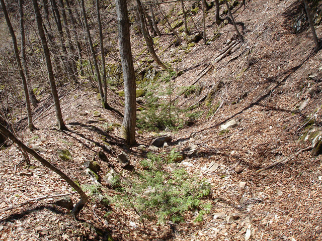 �ѓS,���͐X�ѓS��,�p����,�㕔�O��,����c�я�,���É��c�ы�