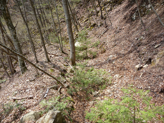 �ѓS,���͐X�ѓS��,�p����,�㕔�O��,����c�я�,���É��c�ы�