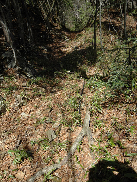 �ѓS,���͐X�ѓS��,�p����,�㕔�O��,����,���[��