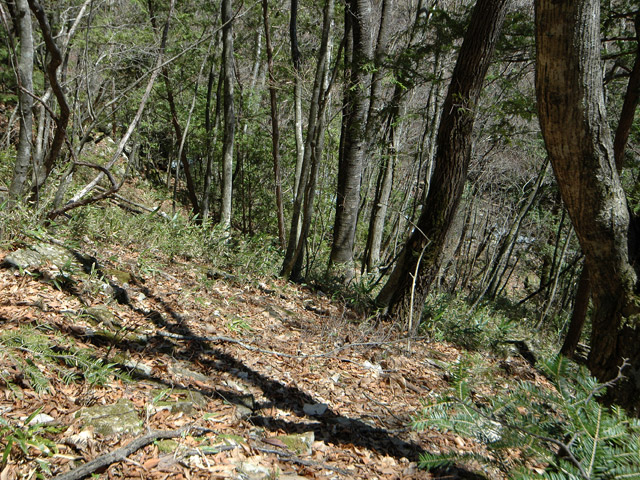 �ѓS,���͐X�ѓS��,�p����,�㕔�O��,����,���[��