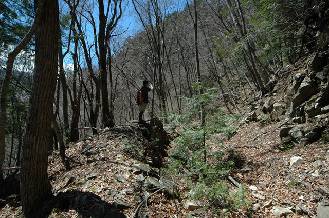 �ѓS,���͐X�ѓS��,�p����,�㕔�O��,����,���[��