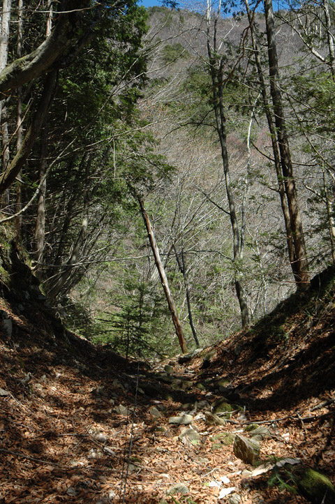 �ѓS,���͐X�ѓS��,�p����,�㕔�O��,����,�ʐM��