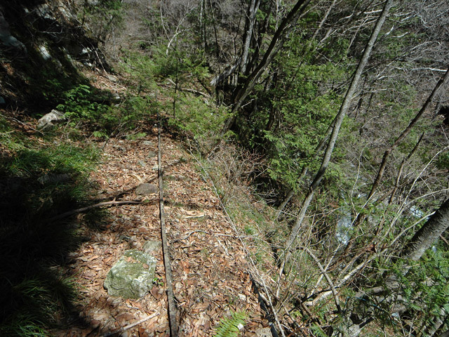 �ѓS,���͐X�ѓS��,�p����,�㕔�O��,���͐�x��,��m�J