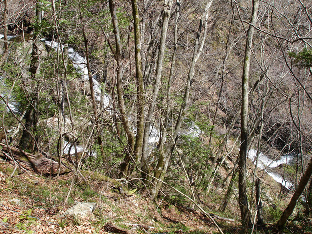 �ѓS,���͐X�ѓS��,�p����,�㕔�O��,���͐�x��,��m�J