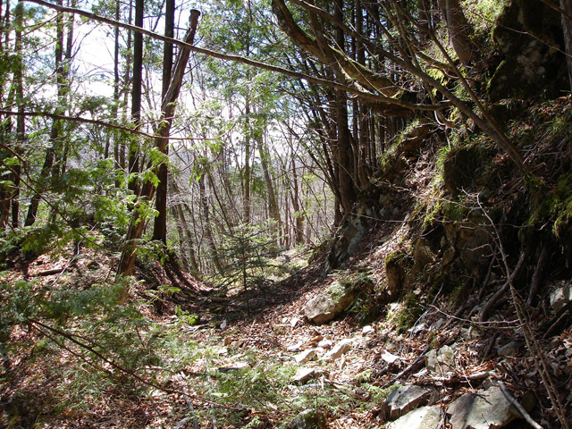 �ѓS,���͐X�ѓS��,�p����,�㕔�O��,����,���[��