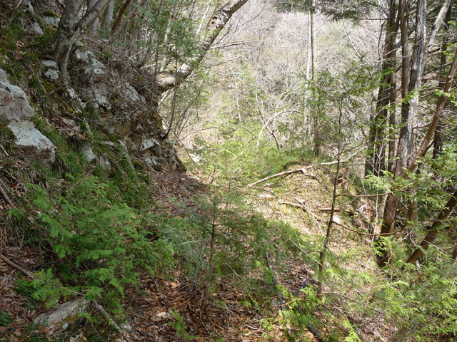 �ѓS,���͐X�ѓS��,�p����,�㕔�O��,����,���[��