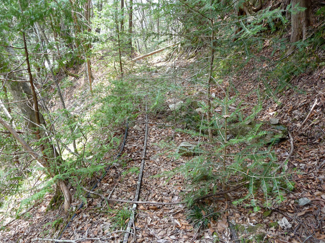 �ѓS,���͐X�ѓS��,�p����,�㕔�O��,���H,����c�я�