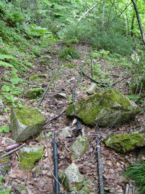 �ѓS,���͐X�ѓS��,�p����,�㕔�O��,����,���[��