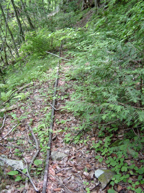 �ѓS,���͐X�ѓS��,�p����,�㕔�O��,����,���[��