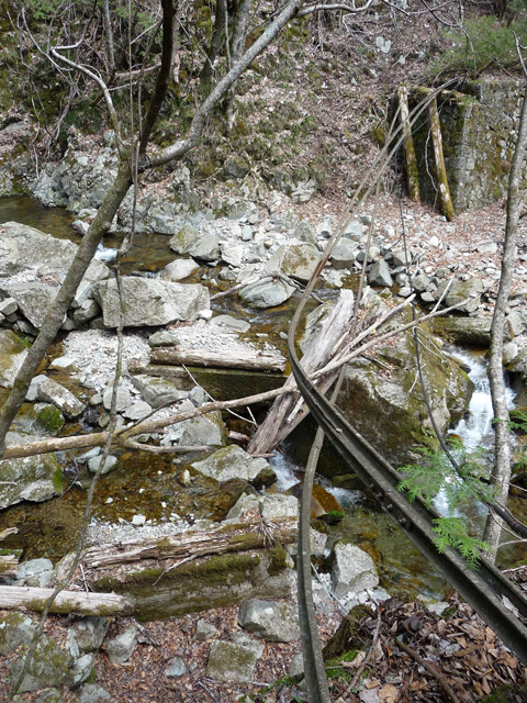 ����X�ѓS�����͐�,�ѓS,�p����,��2������,�؋�