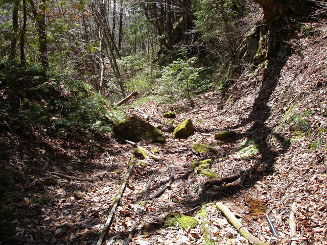 ����X�ѓS�����͐�,�ѓS,�p����,��2������,�؋�