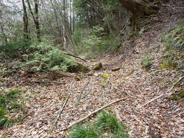 ����X�ѓS�����͐�,�ѓS,�p����,��2������,�؋�