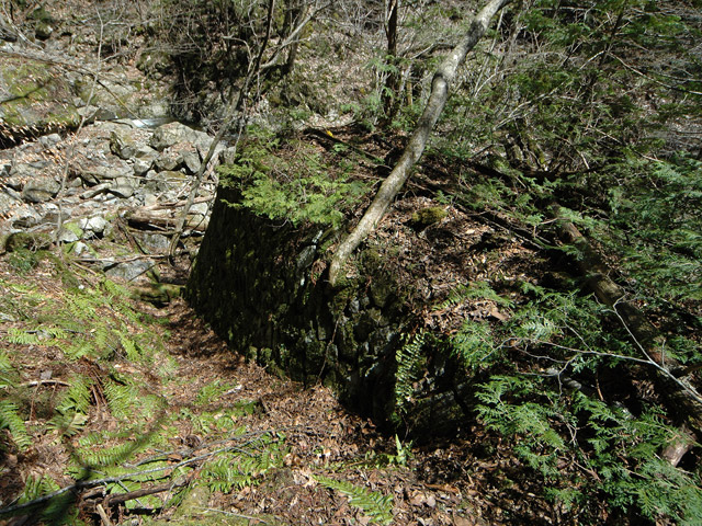 ����X�ѓS�����͐�,�ѓS,�p����,��2������,�؋�,����