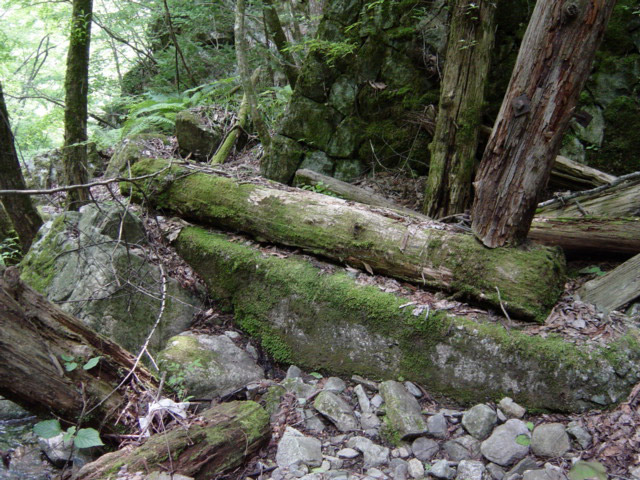 ����X�ѓS�����͐�,�ѓS,�p����,��2������,�؋��s�A,���r