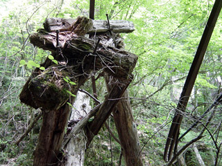 ����X�ѓS�����͐�,�ѓS,�p����,��2������,�؋��s�A,���r