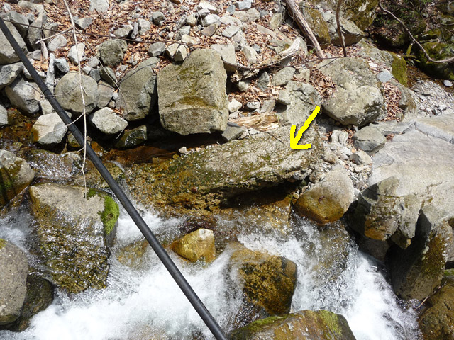 ����X�ѓS�����͐�,�ѓS,�p����,��2������,�؋��s�A,���r