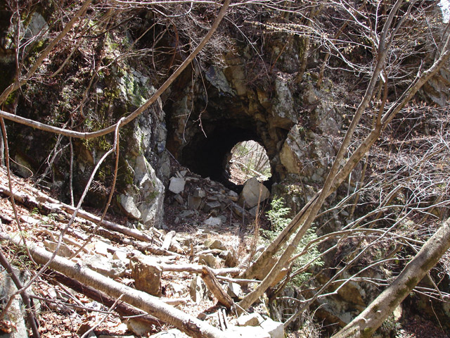 ����X�ѓS�����͐�,�ѓS,�p����,詓�,�g���l��