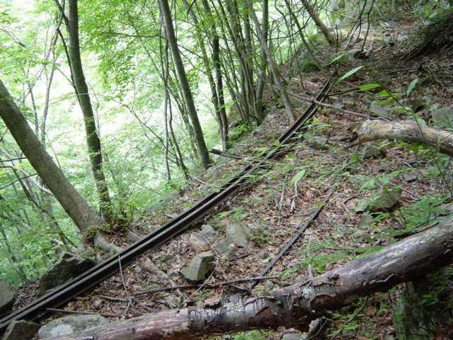 ����X�ѓS�����͐�,�ѓS,�p����,詓�,�g���l��