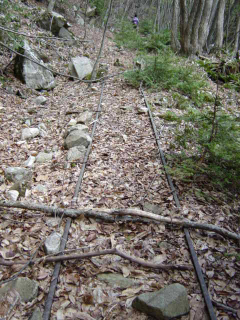 ���͐X�ѓS��,�ѓS,�p����,����c�я�,�O����,���