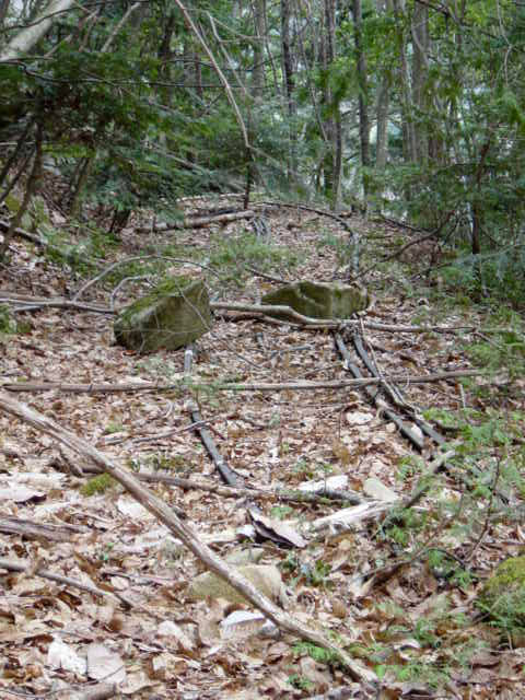 ���͗ѓS,�X�ѓS��,�p����,�㕔�O��,�O����,����c�я�,���