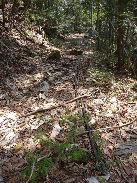 ���͗ѓS,�X�ѓS��,�p����,�㕔�O��,�O����,����c�я�,���