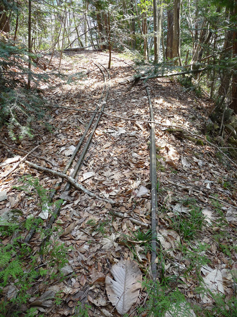 ���͗ѓS,�X�ѓS��,�p����,�㕔�O��,�O����,����c�я�,���