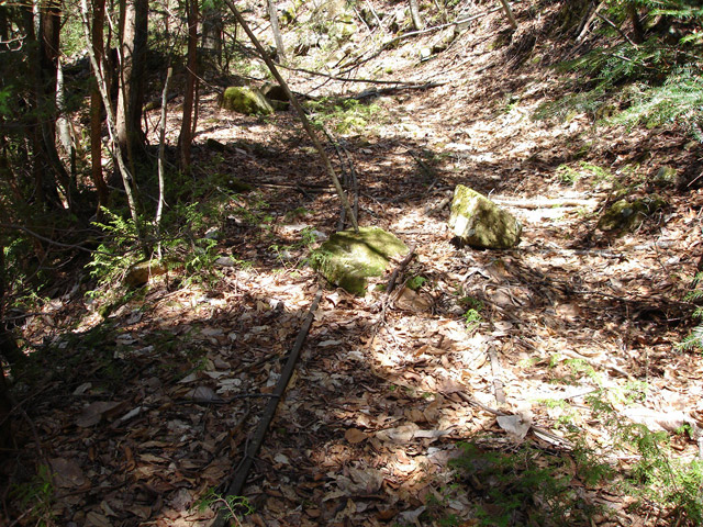 ���͗ѓS,�X�ѓS��,�p����,�㕔�O��,�O����,����c�я�,���