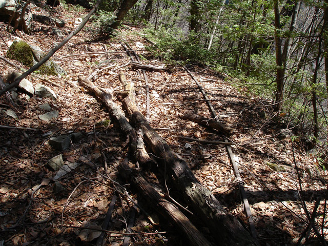 ����X�ѓS�����͐�,�ѓS,�p����,�O����,�㕔�O��