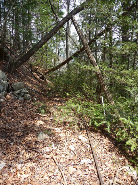 ����X�ѓS�����͐�,�ѓS,�p����,�O����,�㕔�O��,�ʐM��